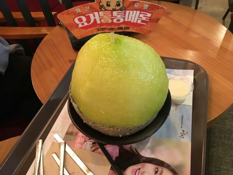 요거빙 이미지