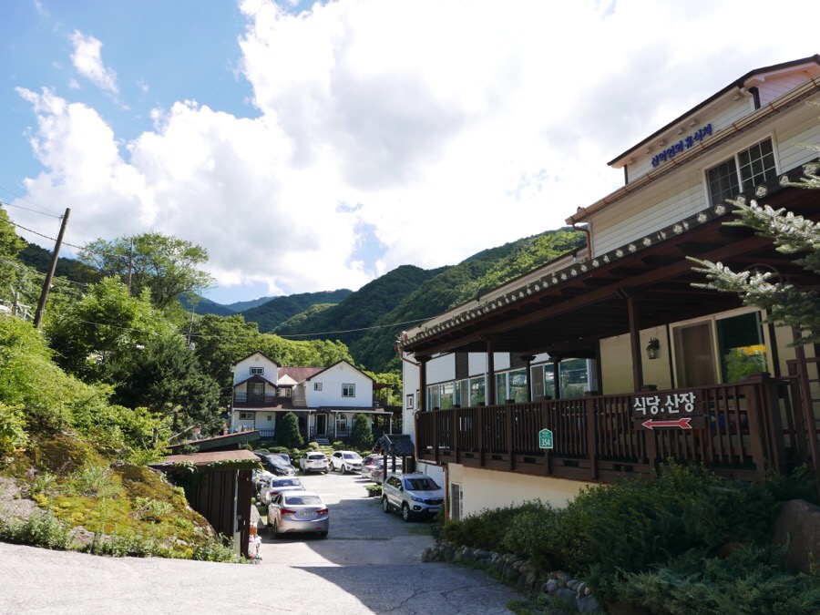 지리산옻닭 이미지