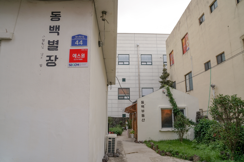 새벽제주혼술바 이미지