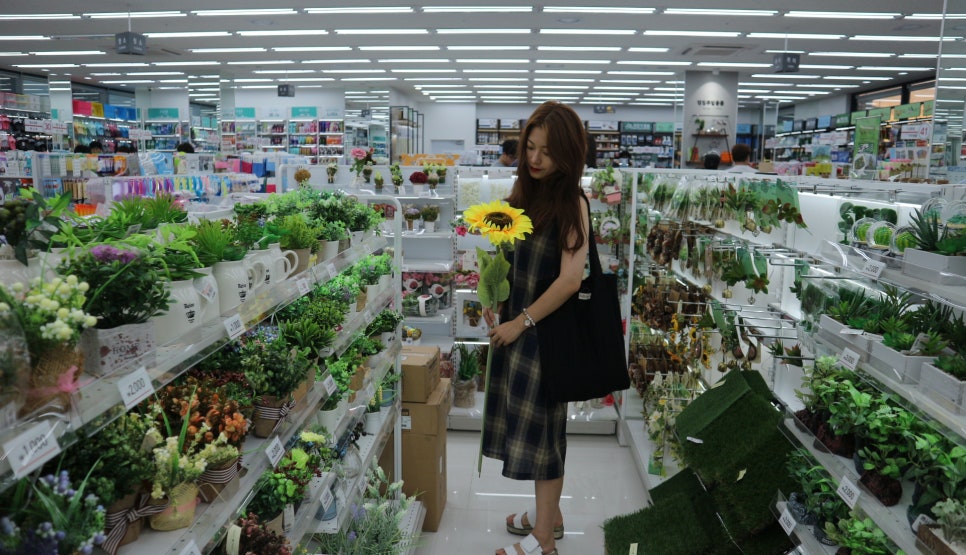 다이소아산 이미지