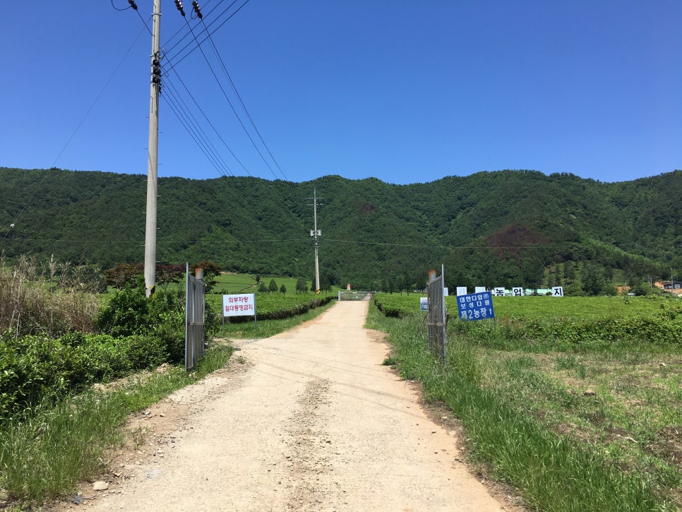 반야다원 이미지