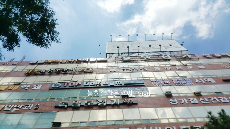 탑독짐 이미지