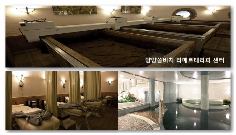대명기프트 이미지
