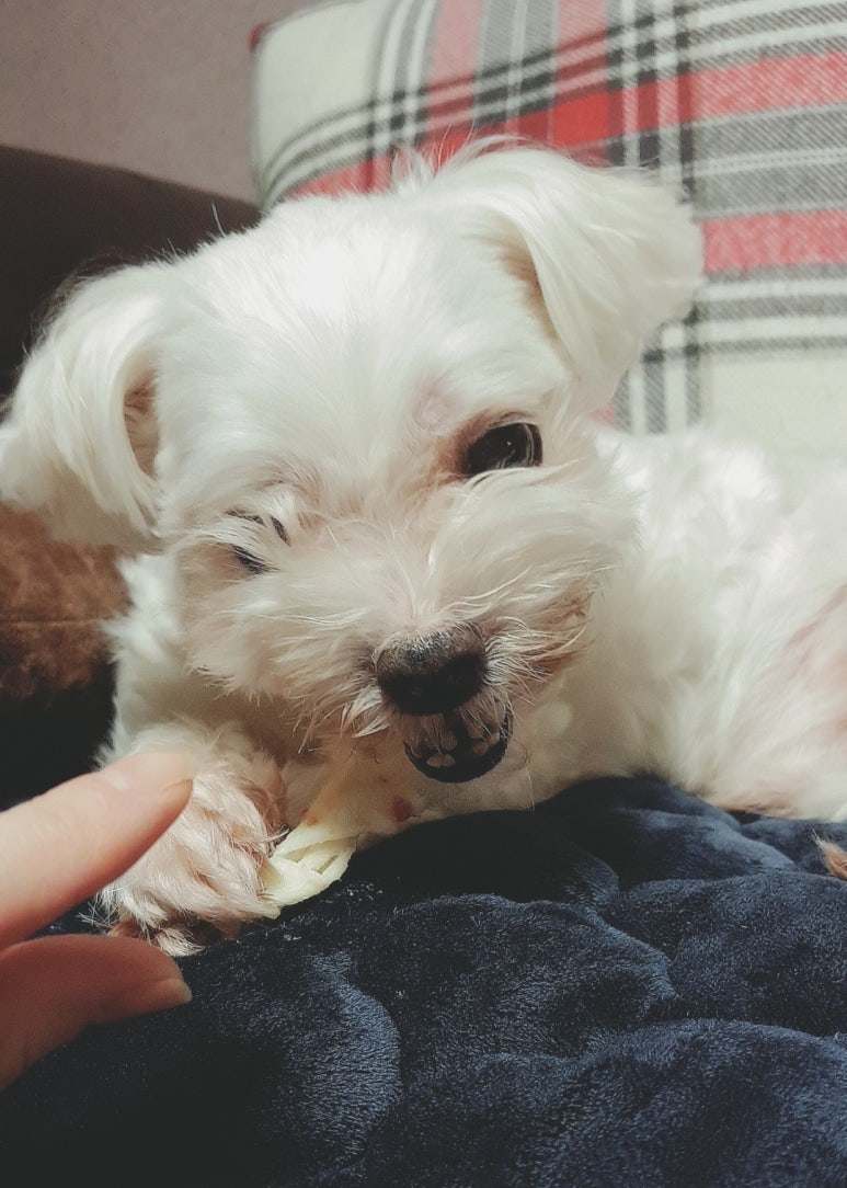 까까쟁이 이미지