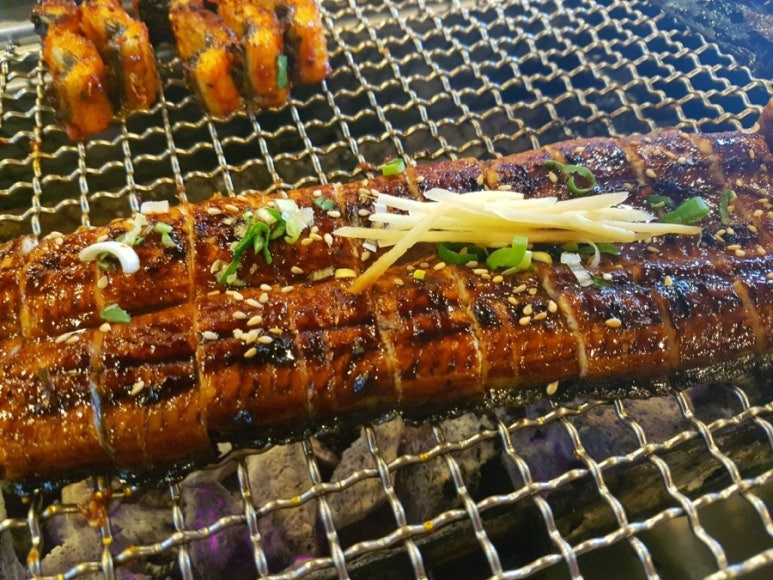 더장어 이미지