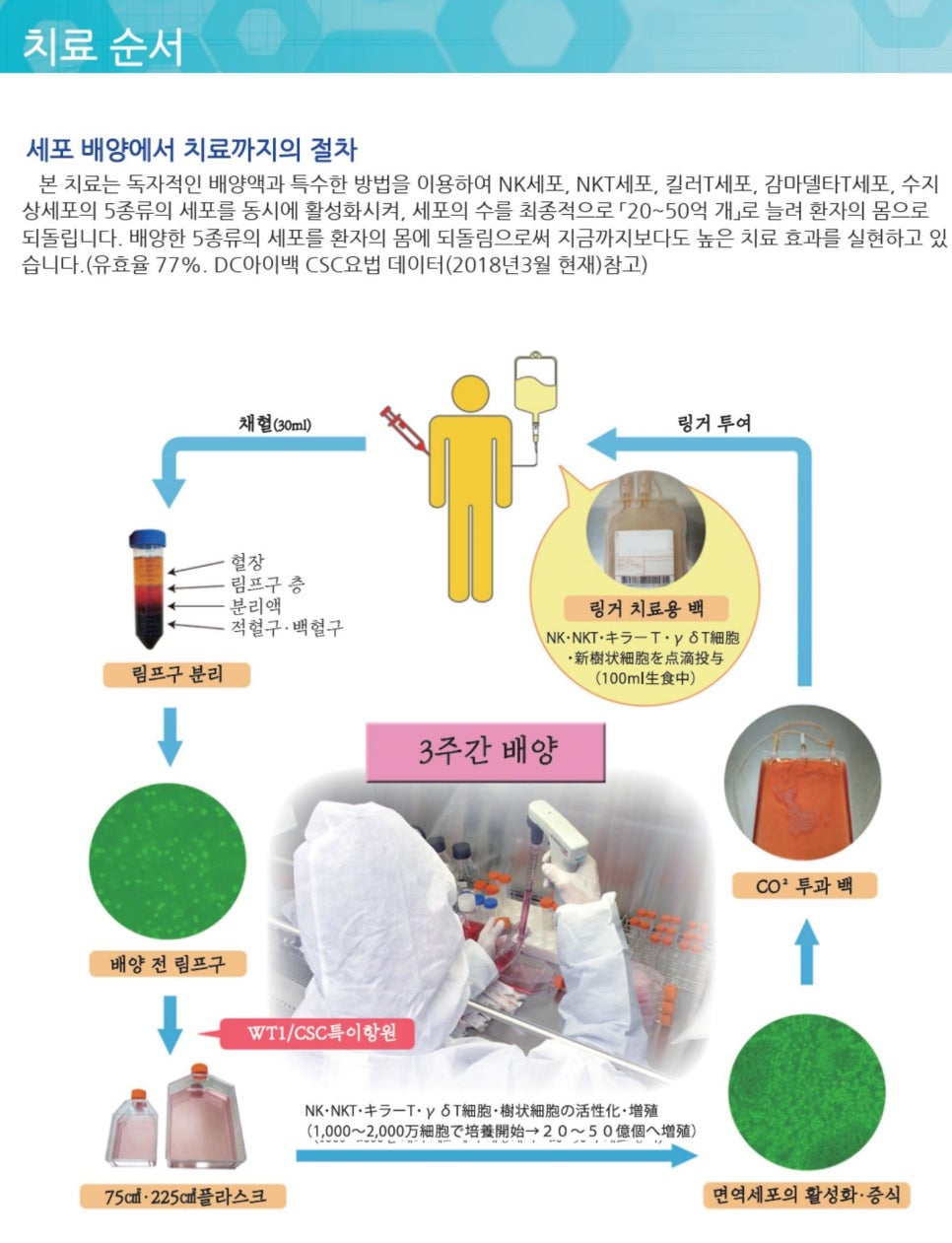 센신코리아 이미지