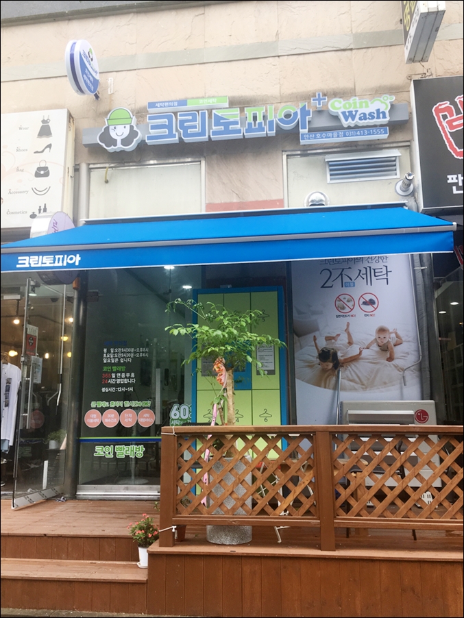 크린토피아코인워시안산호수 이미지