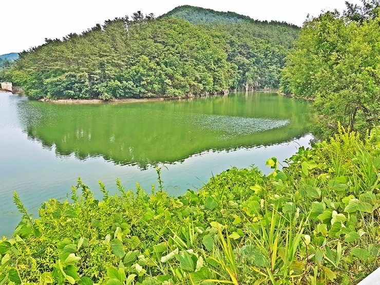 설악주유소 이미지