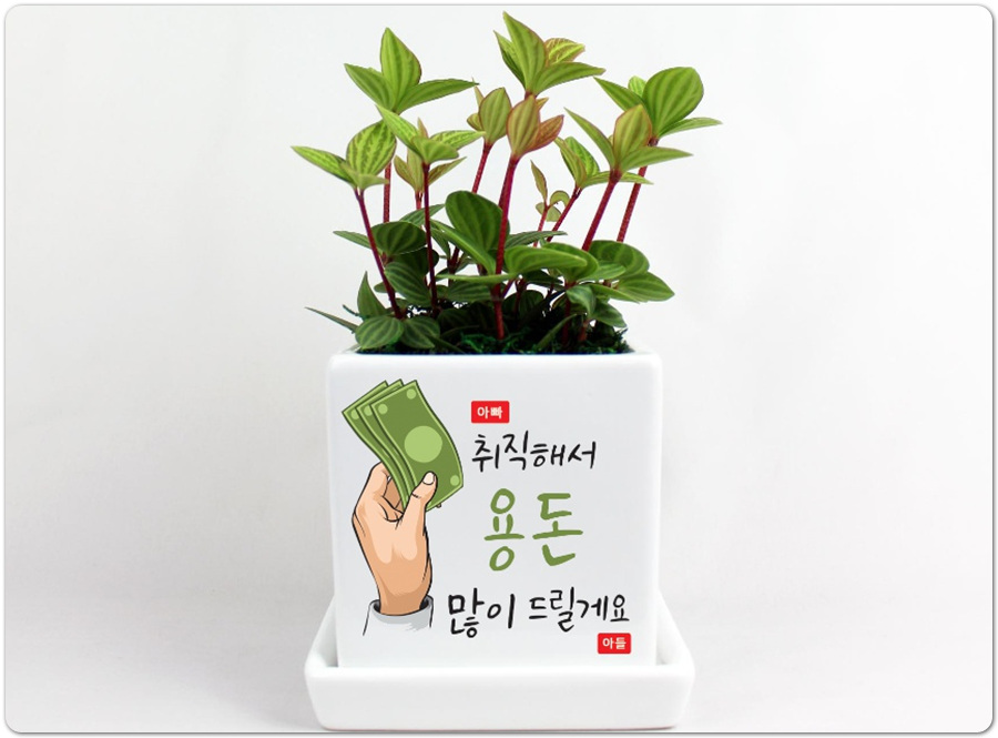 조아그린 이미지