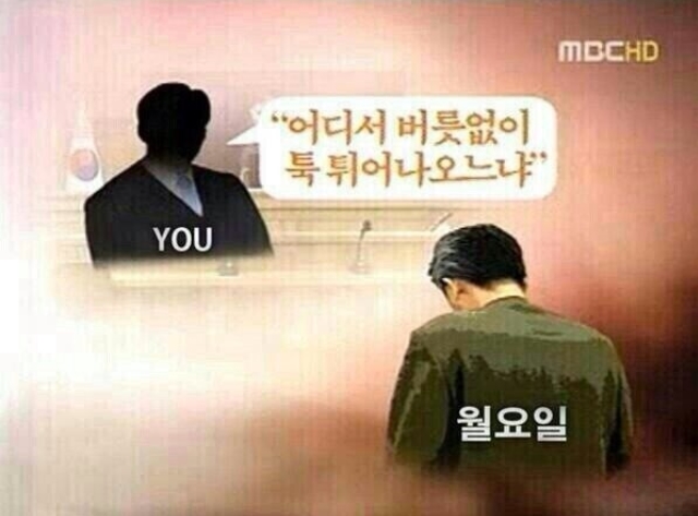 에이치와이 이미지
