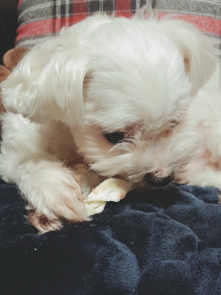 까까쟁이 이미지