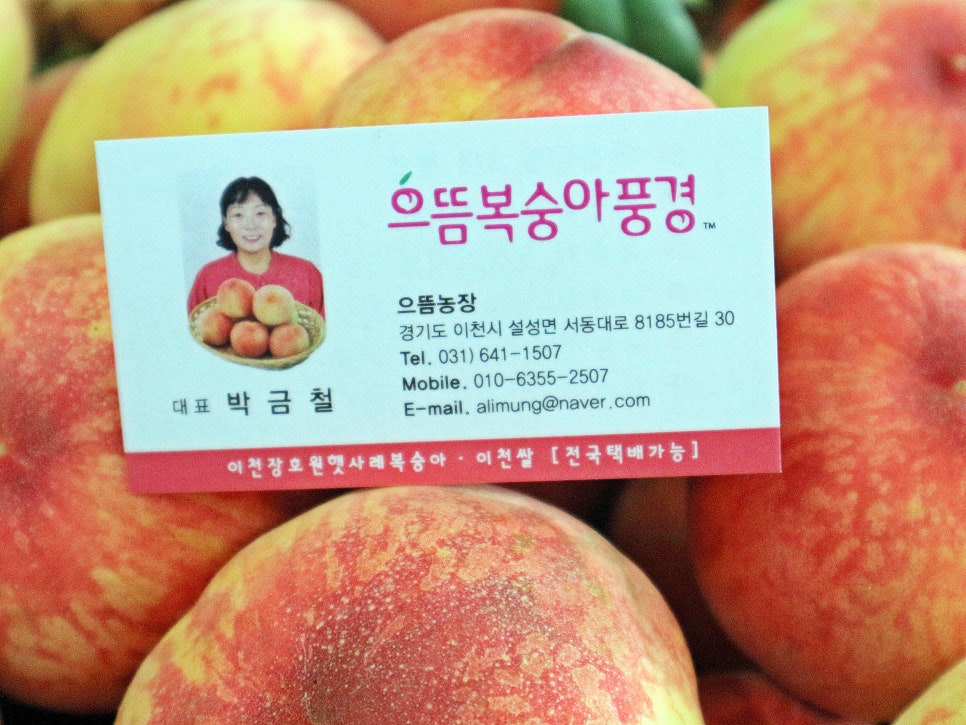 으뜸 복숭아 풍경 이미지