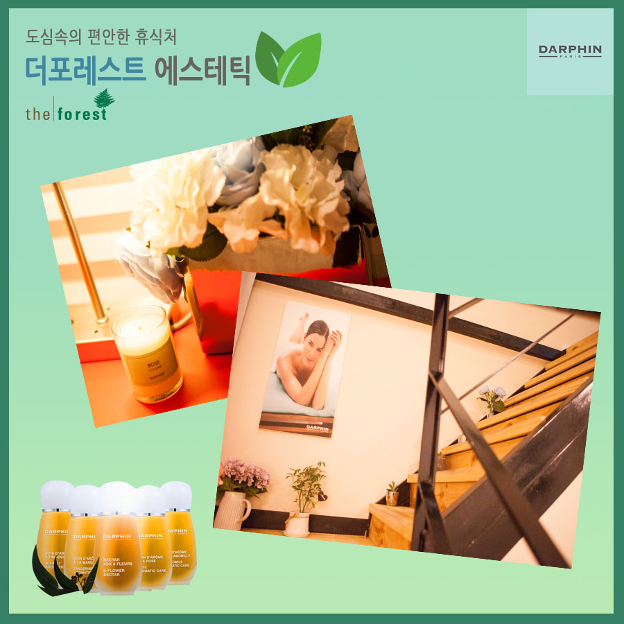 더포레스트스킨 이미지