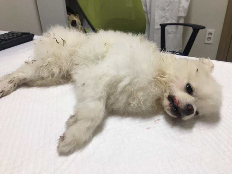 카페. 나른 이미지