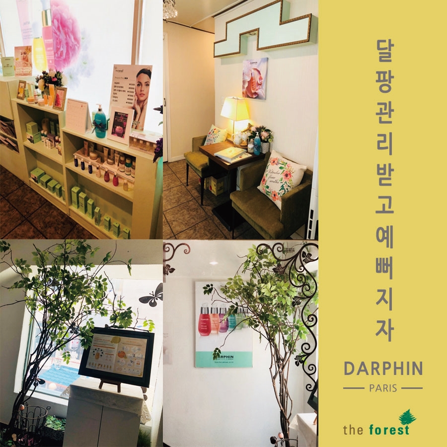 더포레스트스킨 이미지