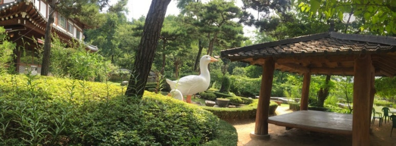 오리골 이미지
