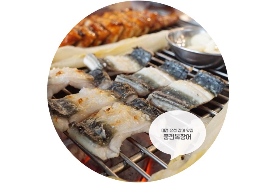 풍천복장어 이미지