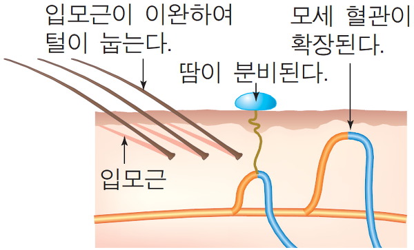 에너메카 이미지