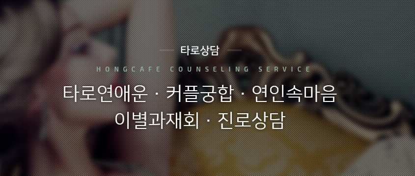 홍카페 이미지