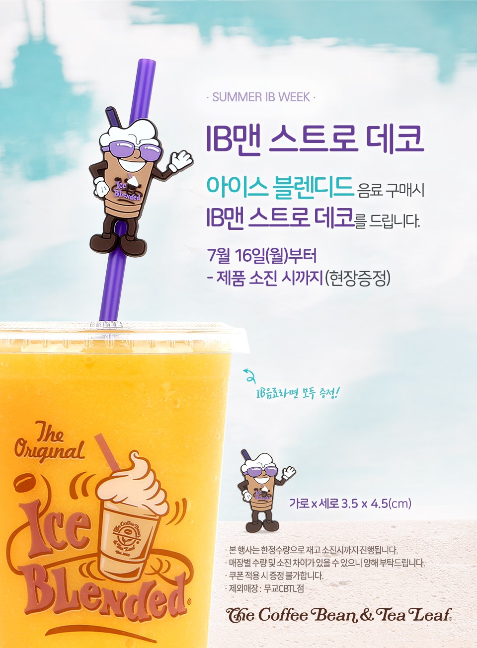 양데코 이미지
