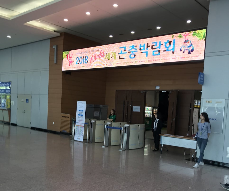 신비한먹거리 이미지