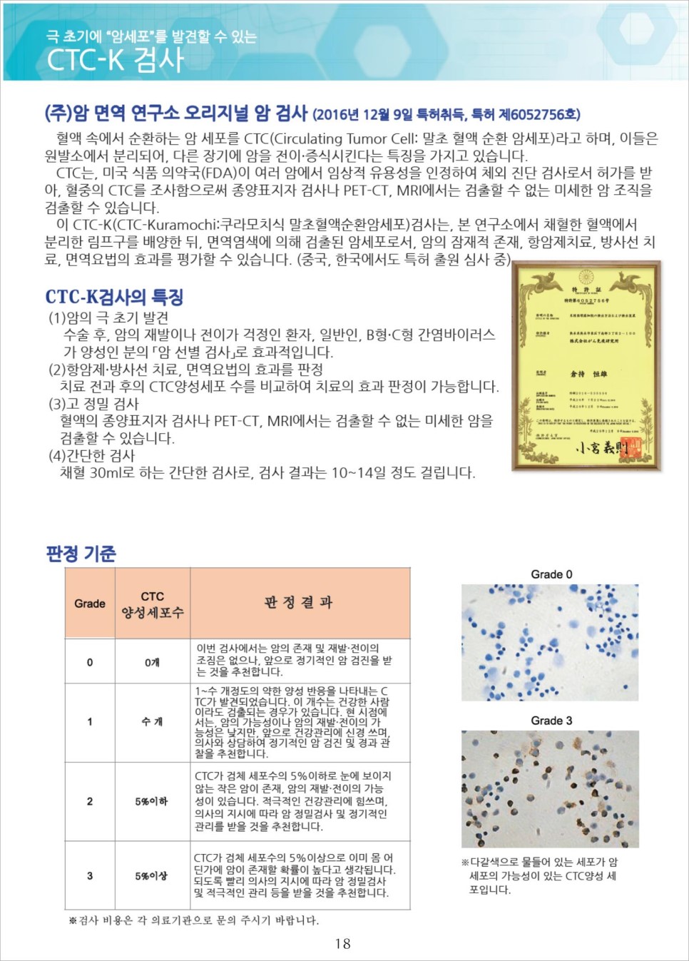 센신코리아 이미지