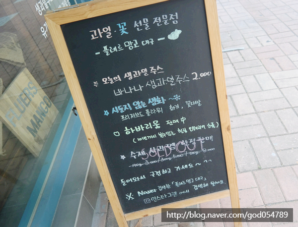 플레르망고 이미지