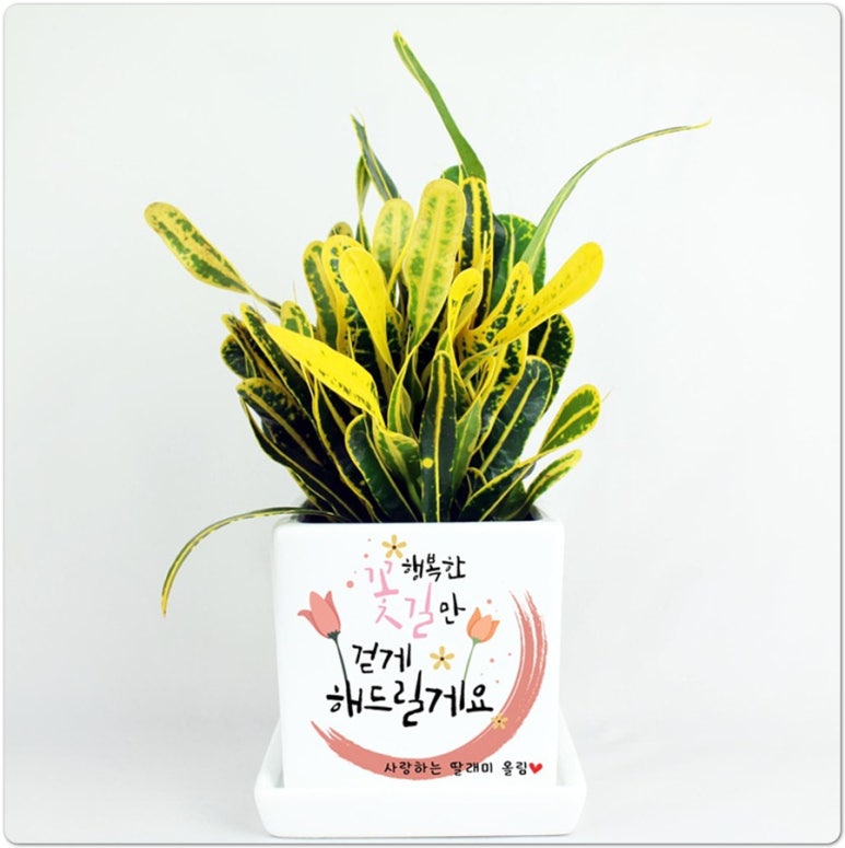 공기조아 이미지
