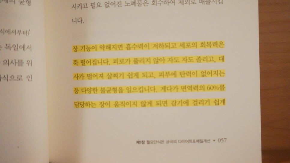 마사루 이미지