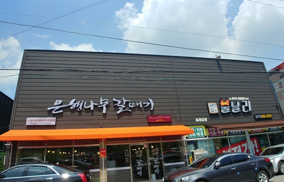은행나무갈매기 이미지
