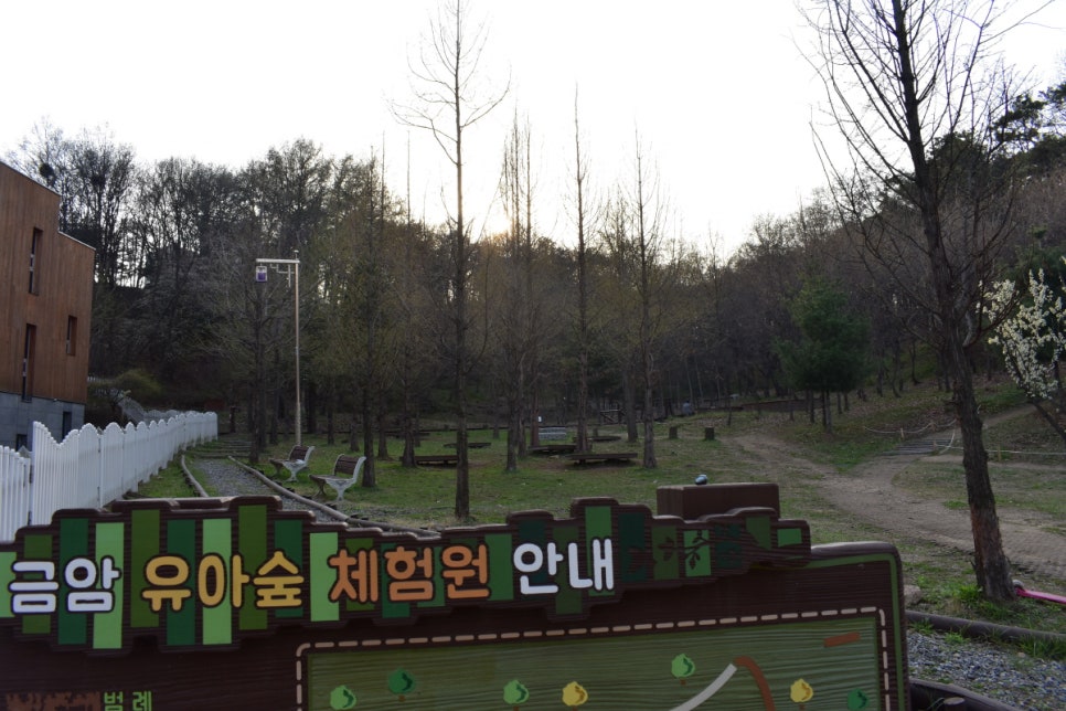 이천시 유아숲체험원 이미지