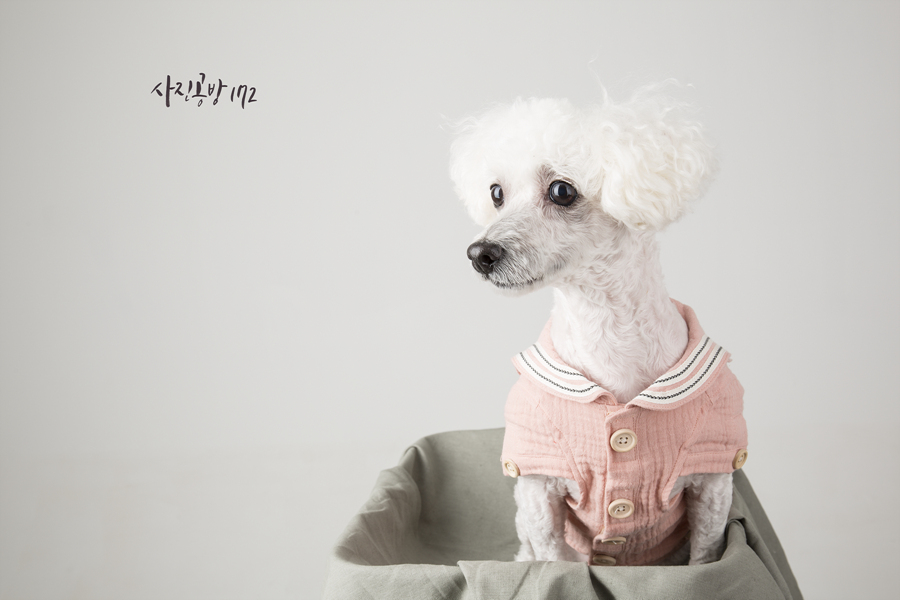 사진공방172 이미지