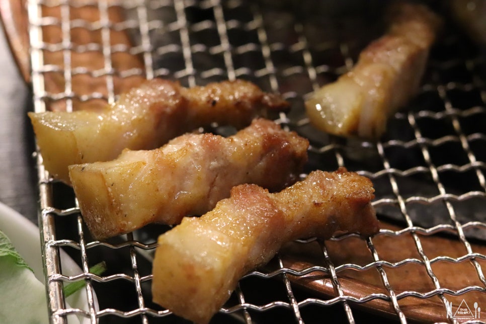 제주도야지 이미지