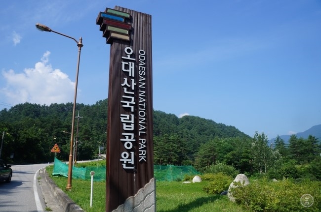 강릉언덕 이미지