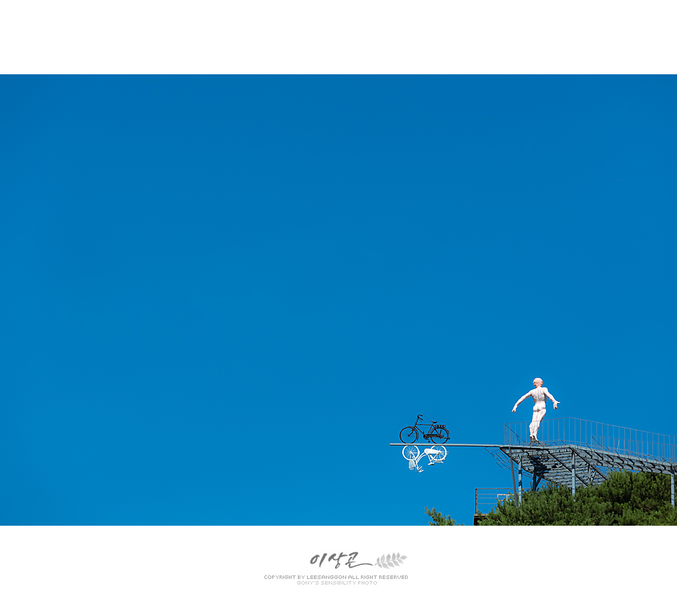 하슬라 이미지