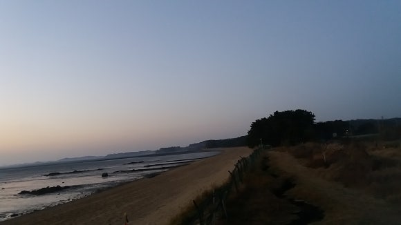 진짜루 이미지
