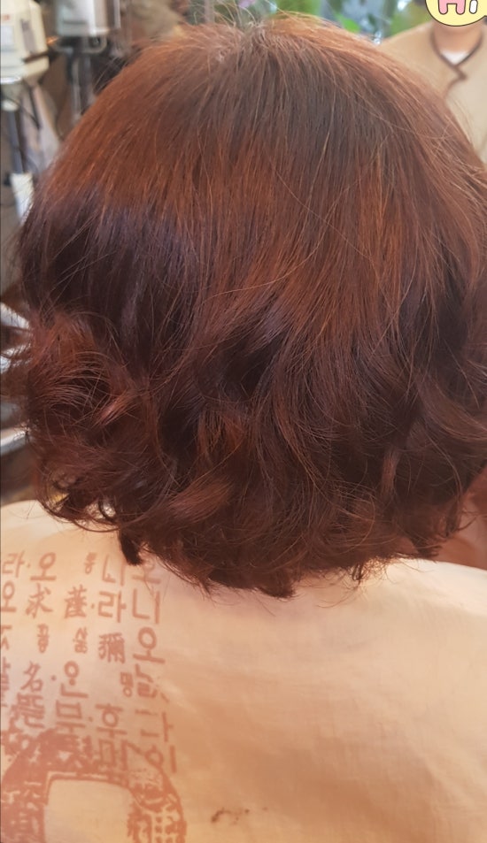 팰리스뷰티 이미지
