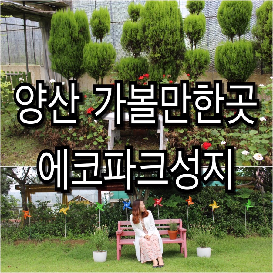 에코파크성지 이미지