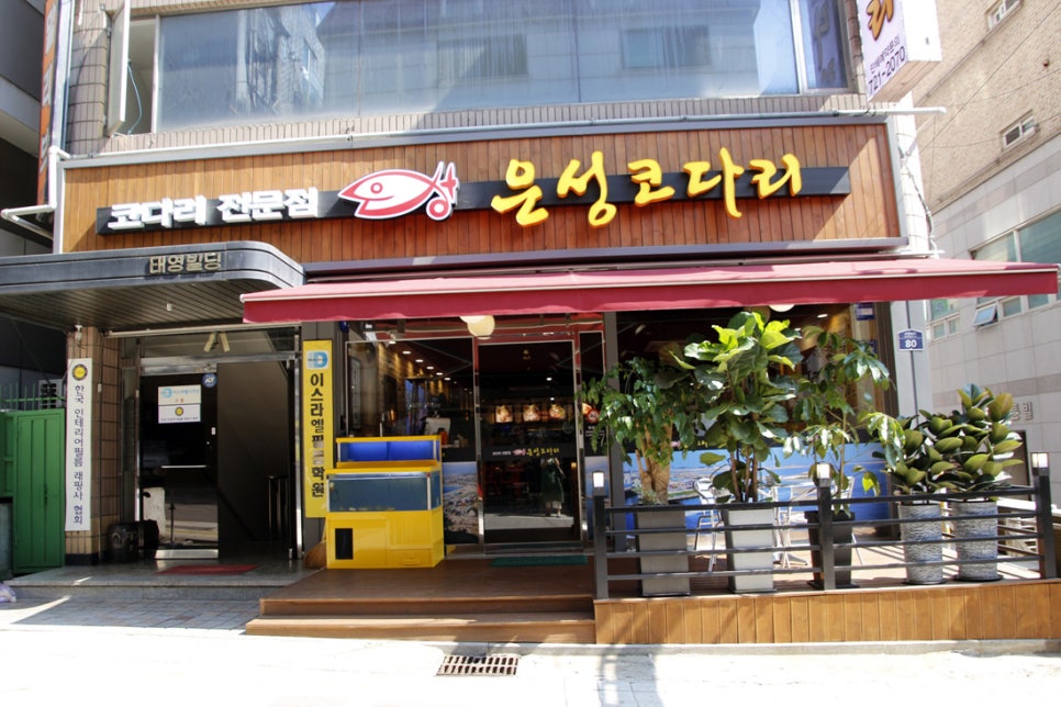 은성코다리 이미지