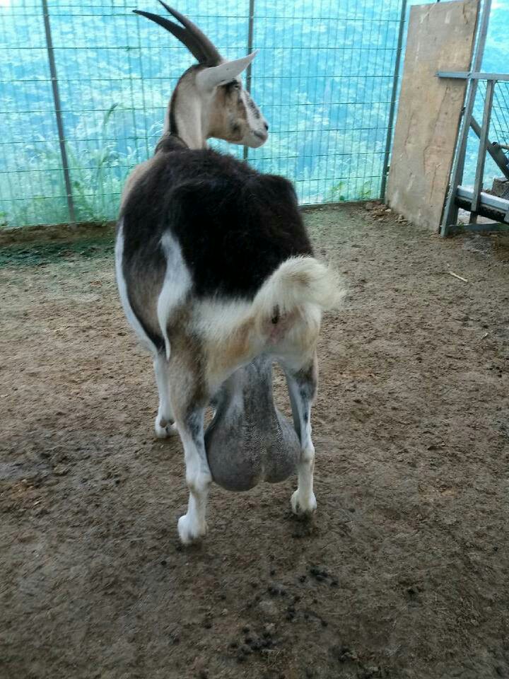 정우축산 이미지