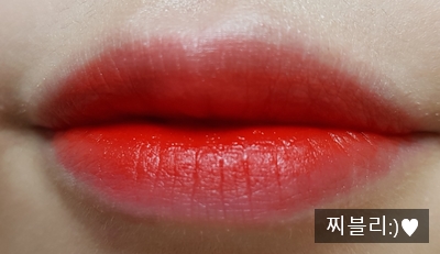 트러스트랩 이미지