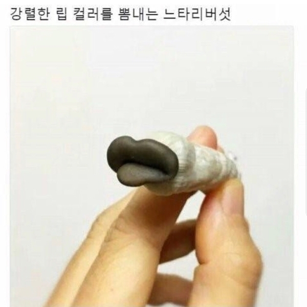 다모음 이미지
