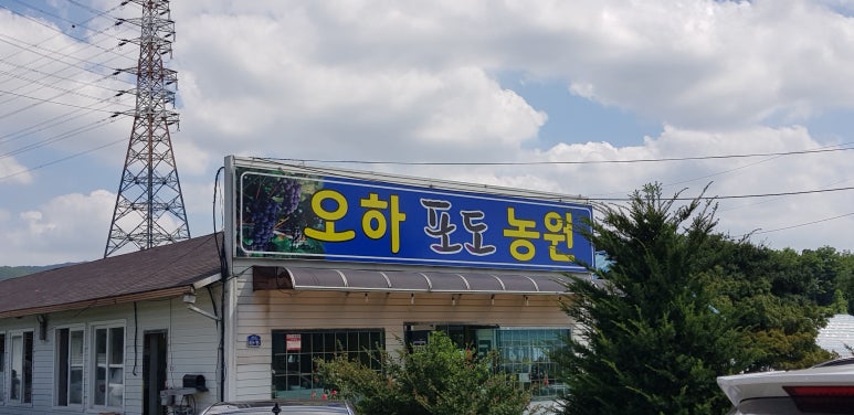 오하포도농원 이미지