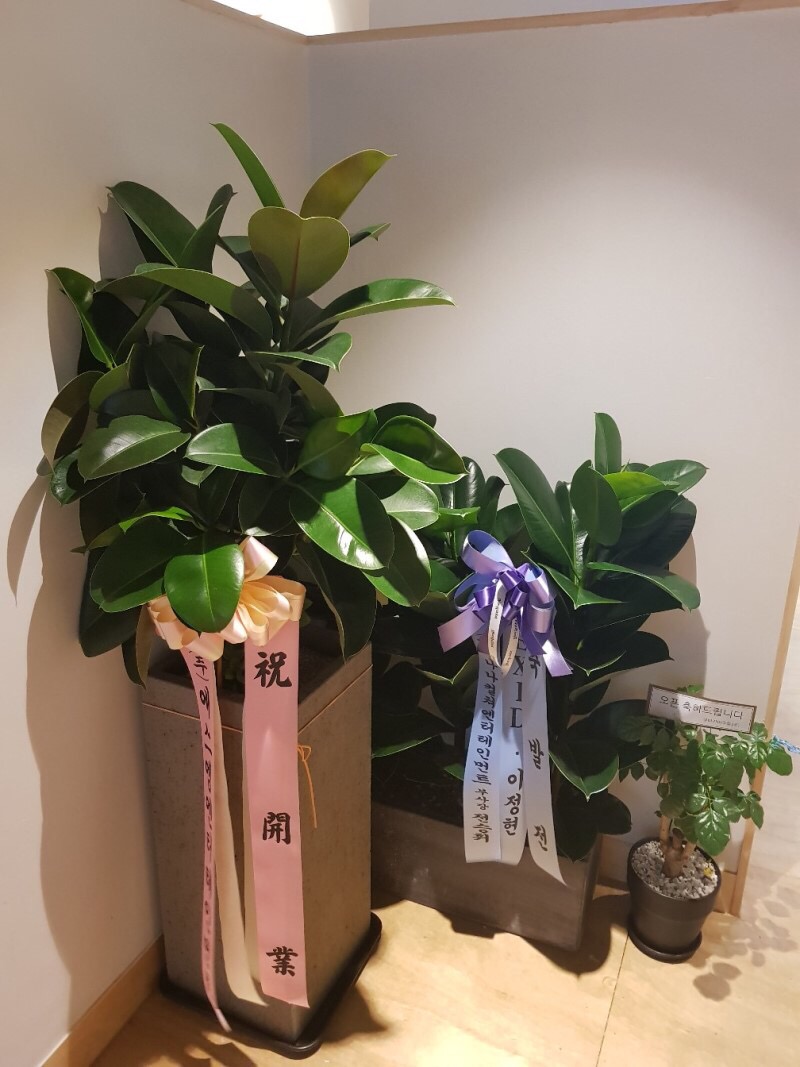오쓰세이로무시 이미지