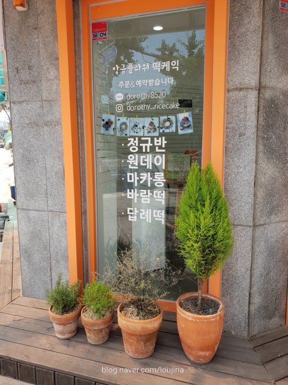 도로시앙금플라워 이미지