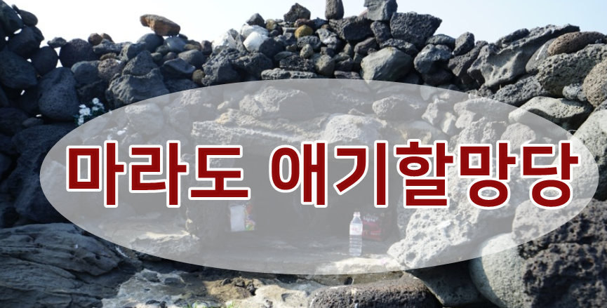 마라도협동조합 이미지