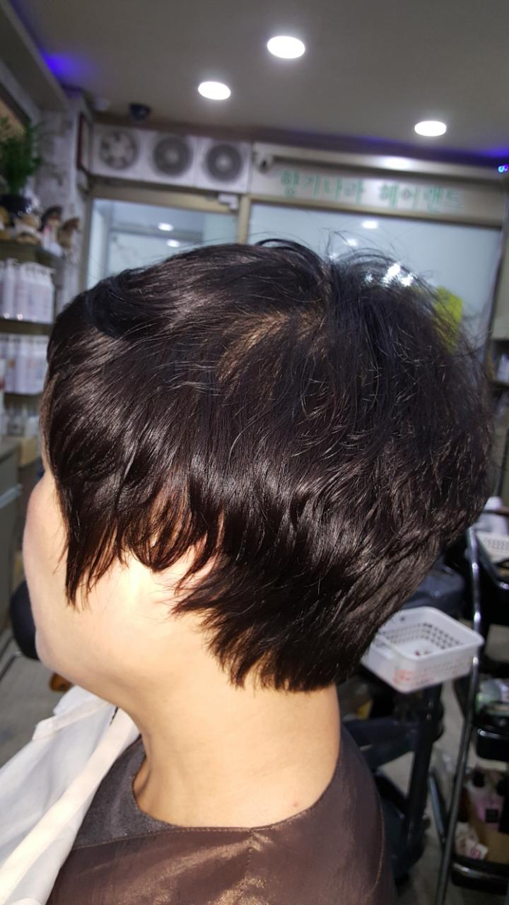 머리향기미용실 이미지