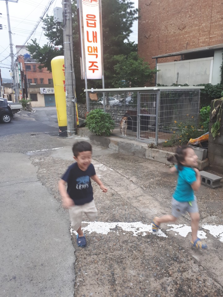 읍내맥주 이미지