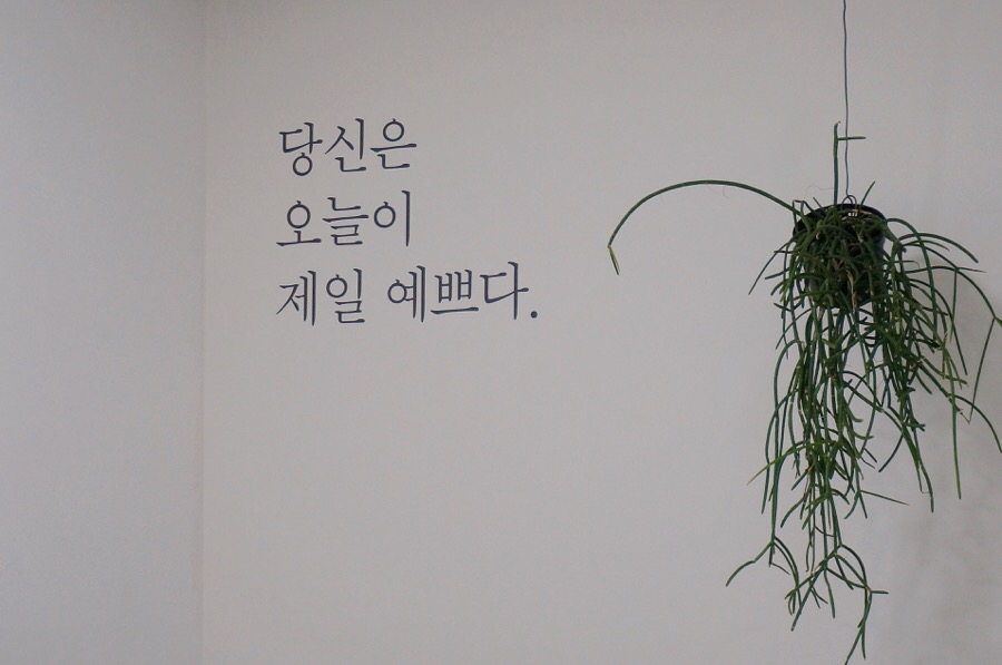 블랑드보떼 이미지