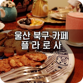 플라로사 이미지